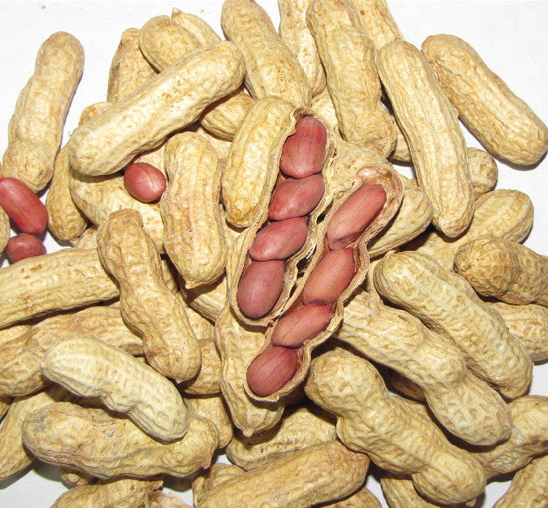 Arachides