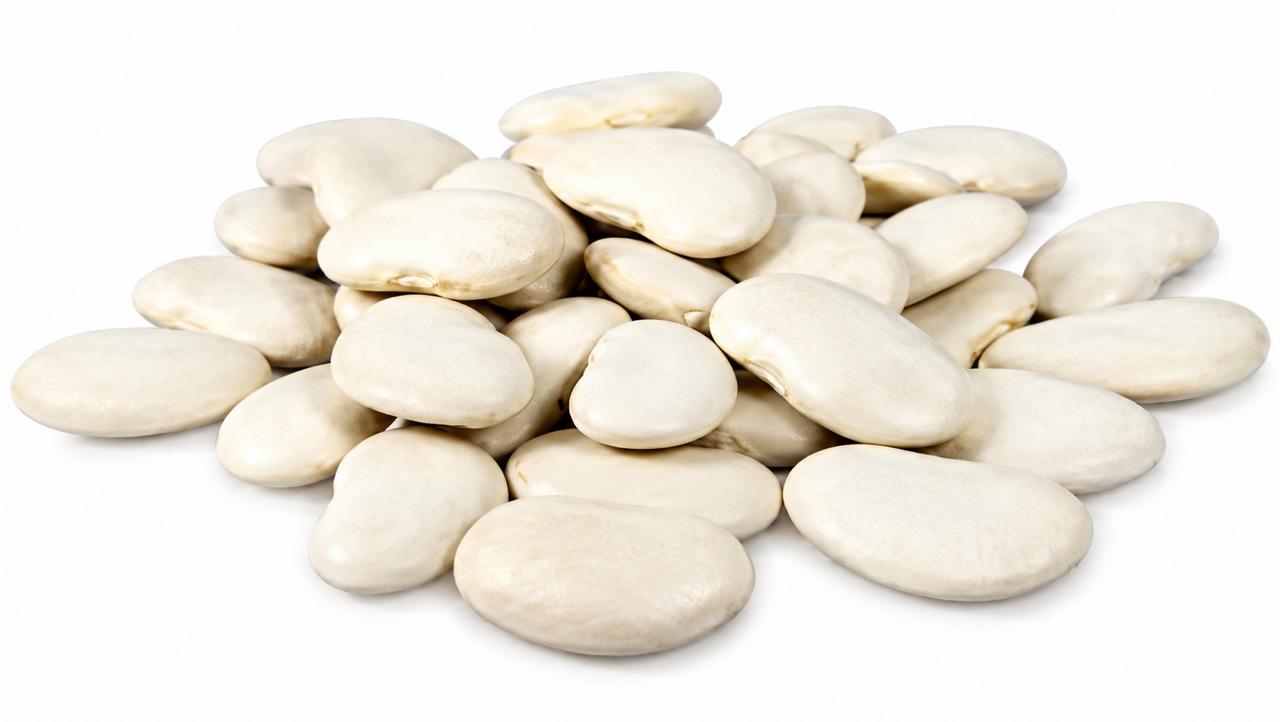 Haricots blancs